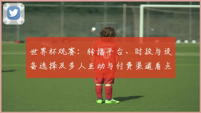 世界杯观赛：转播平台、时段与设备选择及多人互动与付费渠道看点