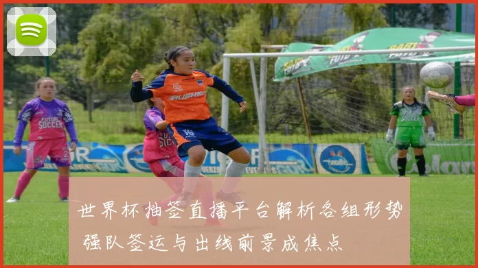 世界杯抽签直播平台解析各组形势 强队签运与出线前景成焦点