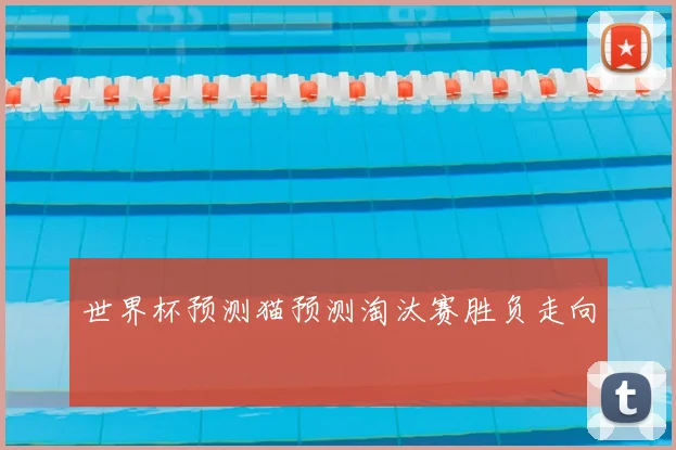 世界杯预测猫预测淘汰赛胜负走向