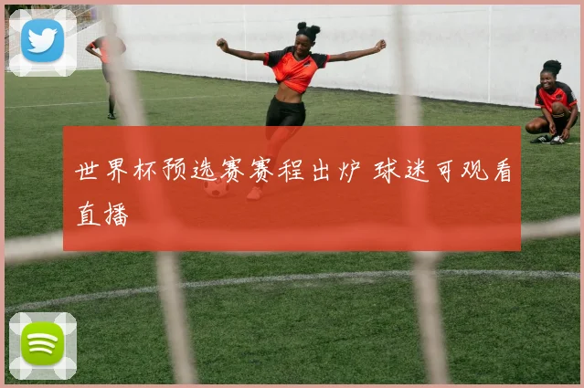 世界杯预选赛赛程出炉 球迷可观看直播
