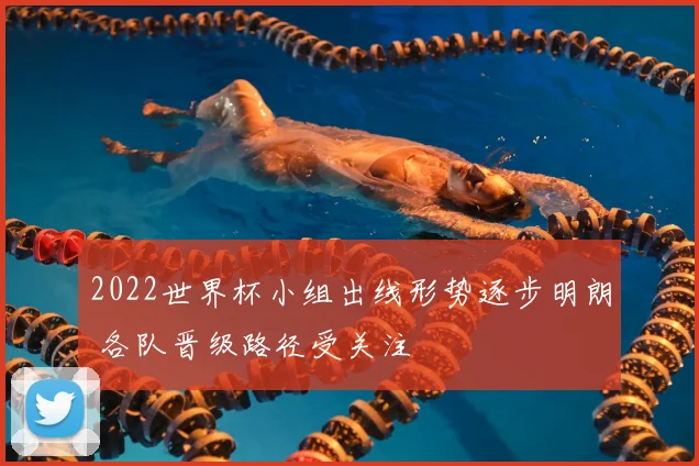 2022世界杯小组出线形势逐步明朗 各队晋级路径受关注