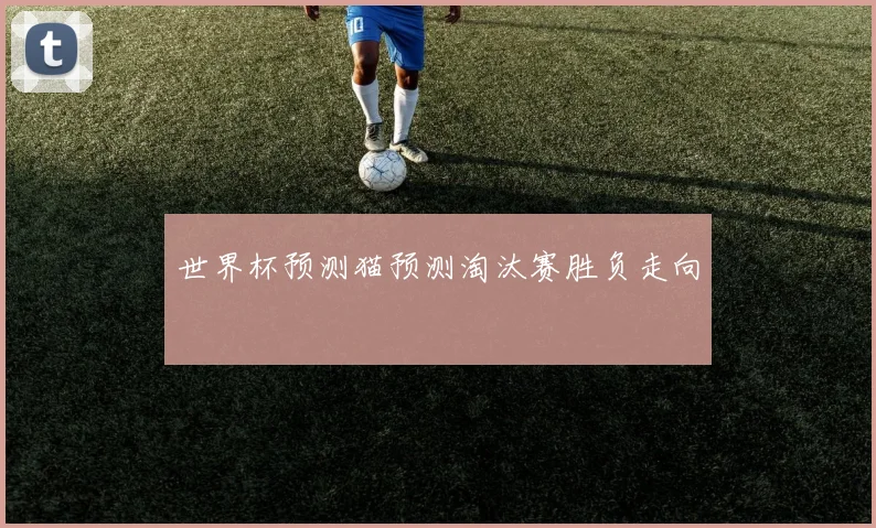 世界杯预测猫预测淘汰赛胜负走向